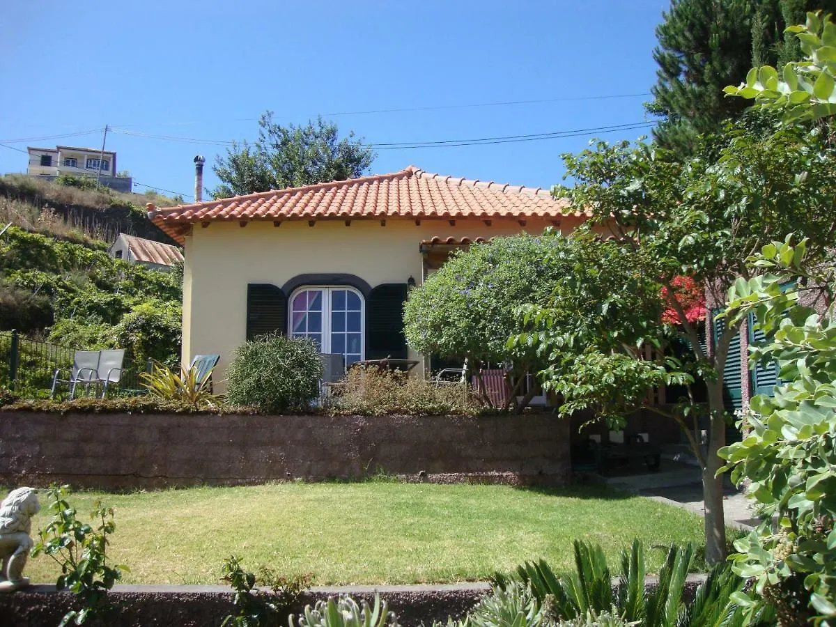 Blooming Botanic Houses Estreito Da Calheta Portugal