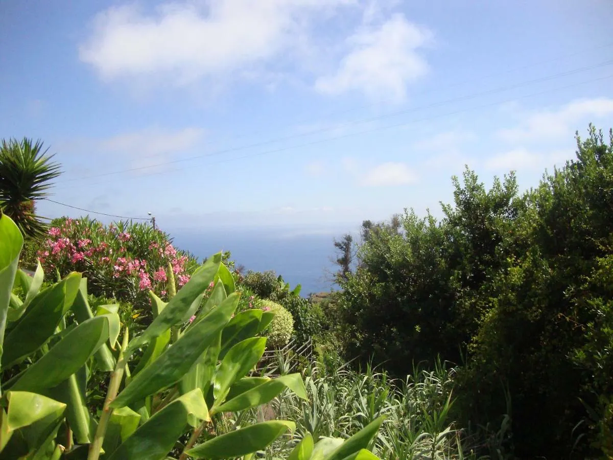 Blooming Botanic Houses Estreito Da Calheta Holiday home