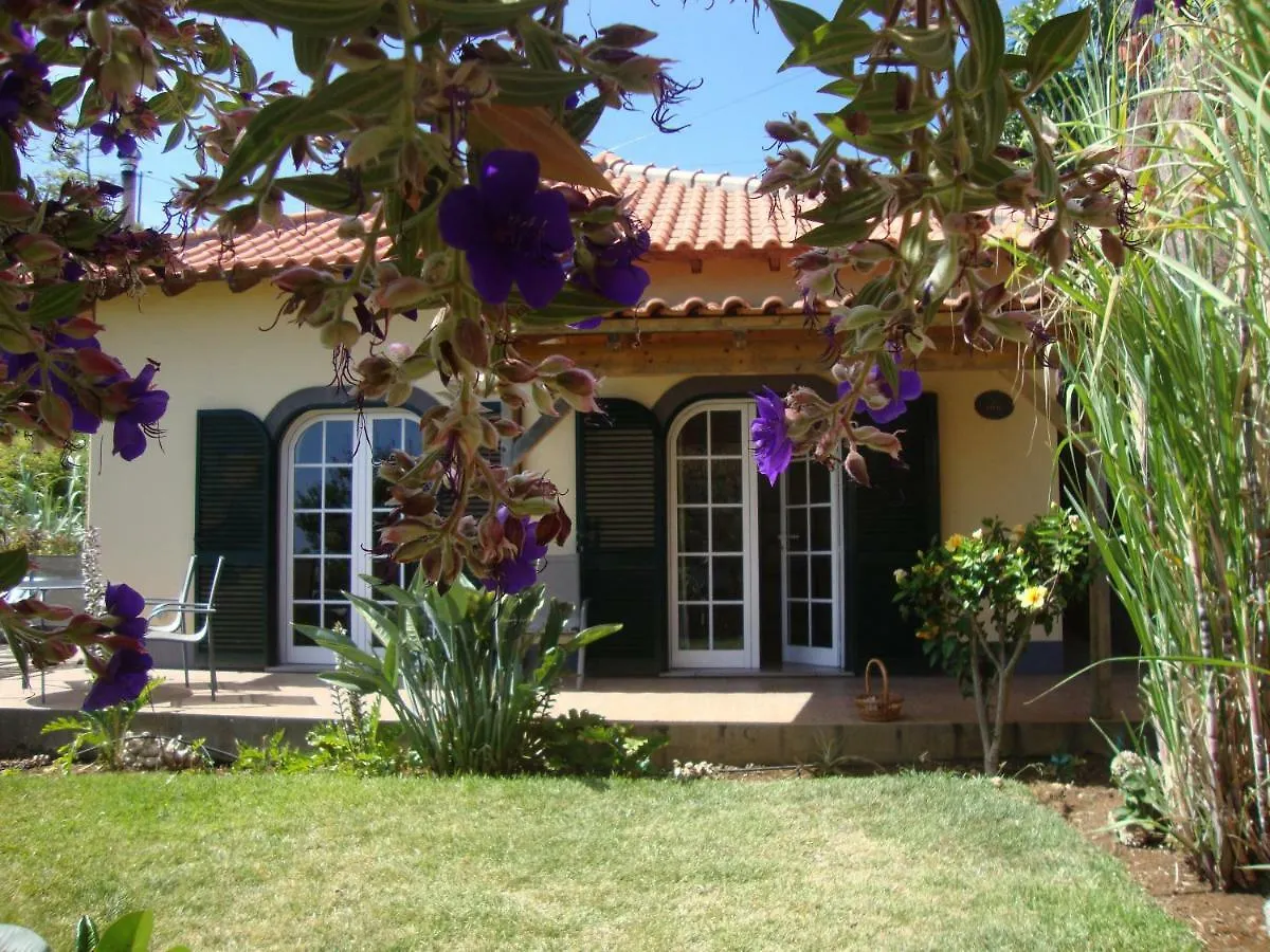 Blooming Botanic Houses Estreito Da Calheta 別荘